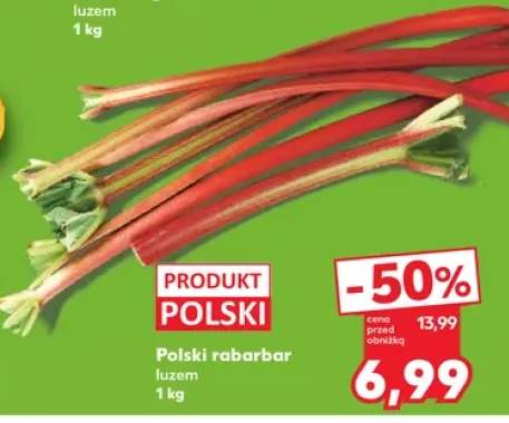 Rabarbar polski