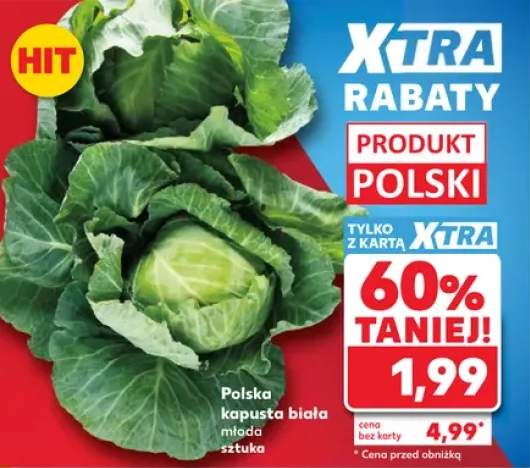 Kapusta biała młoda polska