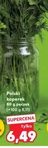 Koperek polski XL