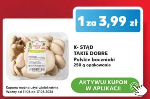 Boczniaki polskie K-Stąd Takie Dobre