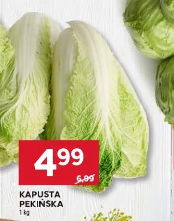 Kapusta pekińska