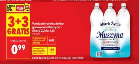 Woda mineralna lekko gazowana Muszyna - Skarb Życia