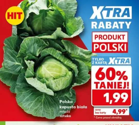 Kapusta biała młoda
