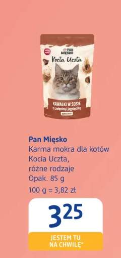 karma dla kota