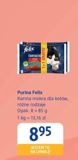 karma dla kota