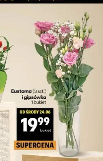 Eustoma i gipsówka