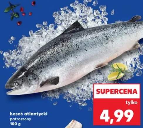 łosoś patroszony