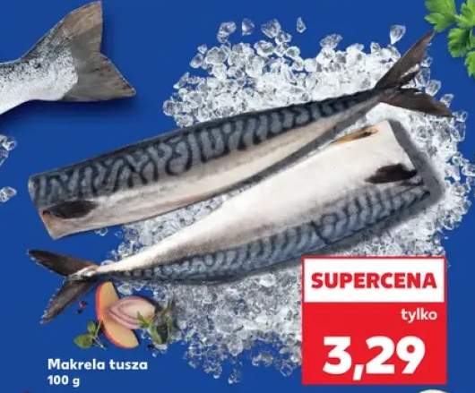 makrela tusza