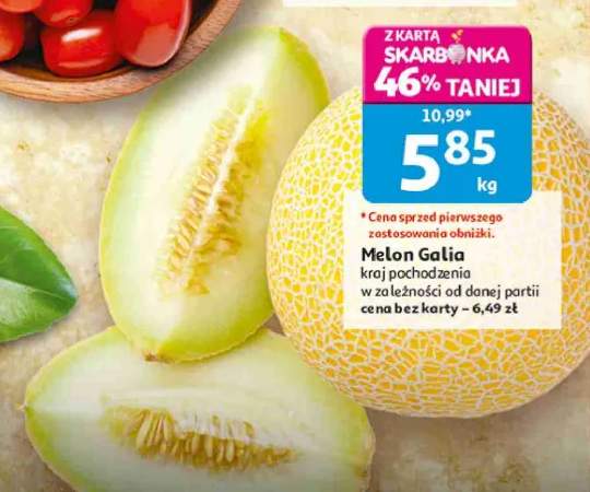 Melon Galia