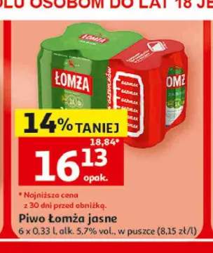 Piwo Łomża jasne 6-pak 0,33 l
