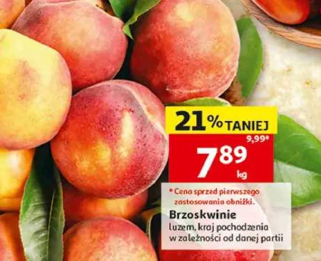 Piwo Warka Classic jasne 6-pak