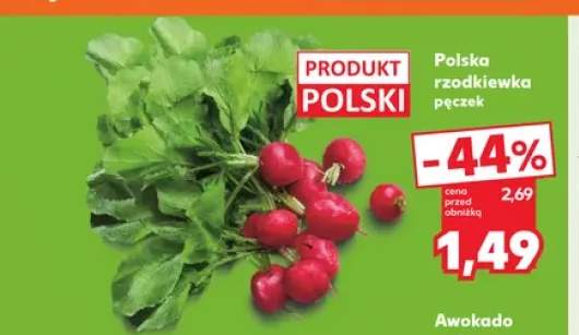 Rzodkiewka polska