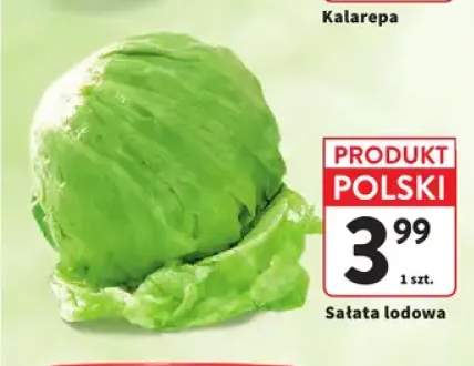 Sałata lodowa