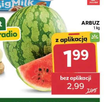 Arbuz