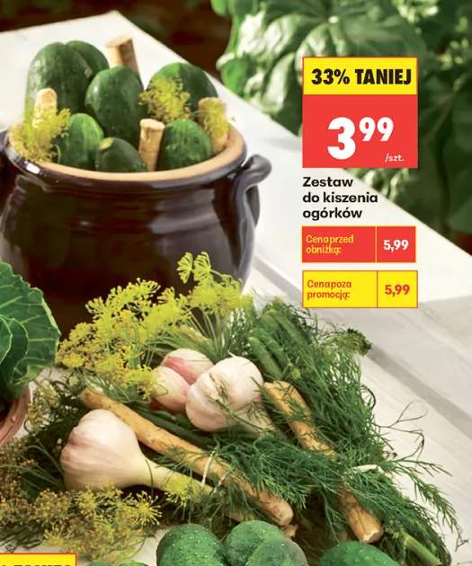 Zestaw do kiszenia ogórków