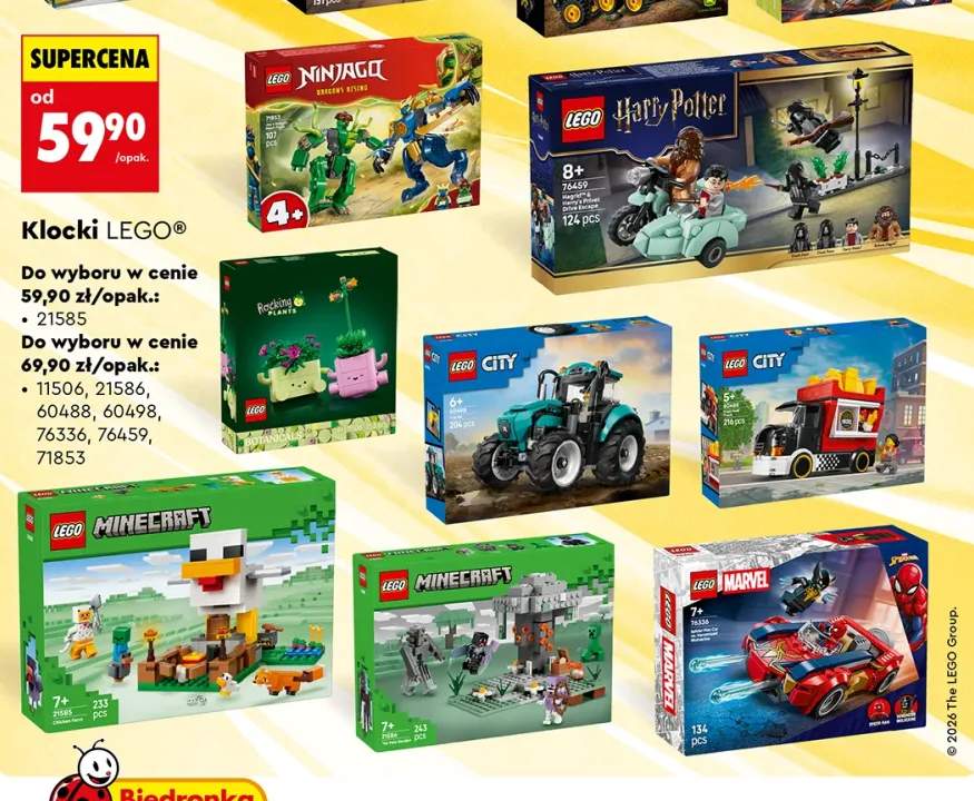 Klocki LEGO Botanicals 21585 Rocking Plants +7 wariantów