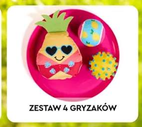 Zestaw 4 gryzaków dla pupila Activ Pet