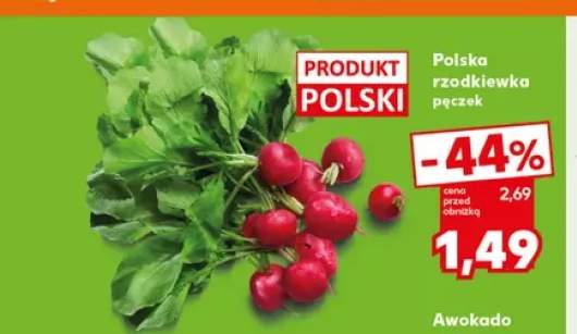 Polska rzodkiewka
