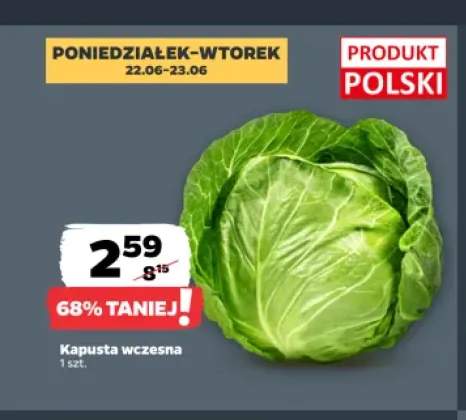 Kapusta wczesna polska