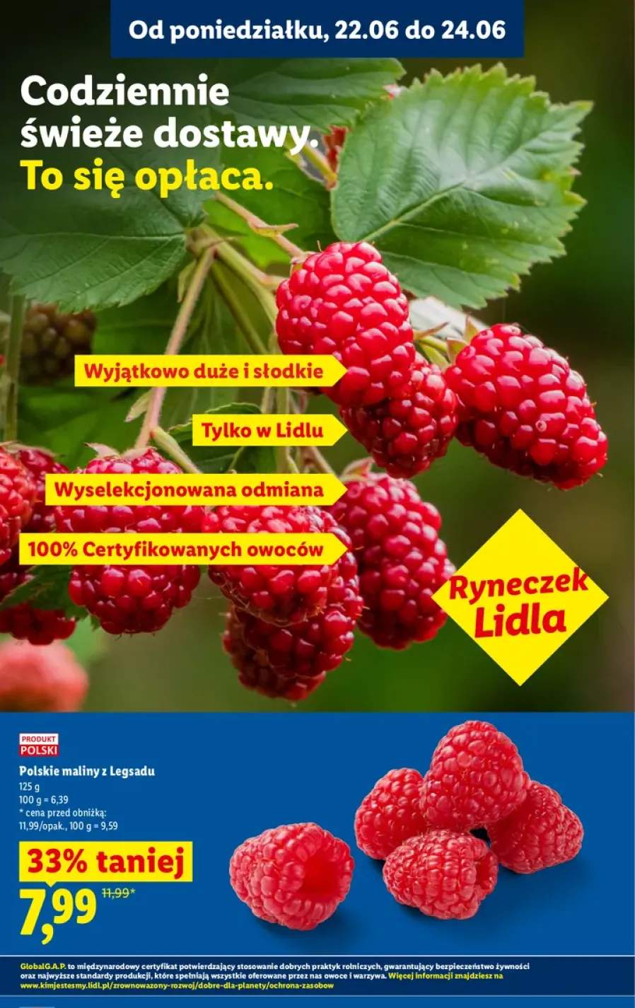 Polskie maliny z Legsadu Ryneczek Lidla