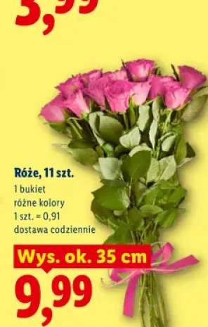 Róże 11-pak