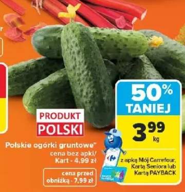 Ogórki gruntowe Polskie