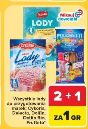 Lody do przygotowania marek Cykoria Delecta Dolfin Dolfin Bio Frutteto +3 warianty