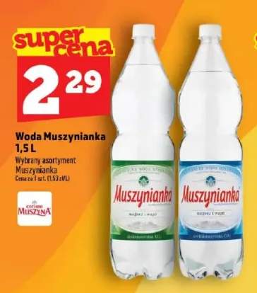 Woda mineralna niskonasycona CO2 Muszynianka +1 wariant