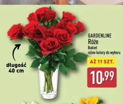 Bukiet róż Gardenline 11-pak