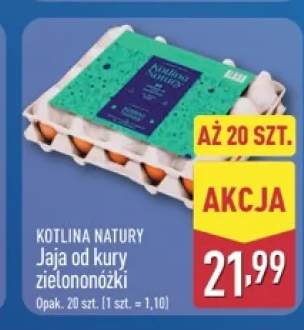 Jaja od kury zielononóżki Kotlina Natury 20-pak