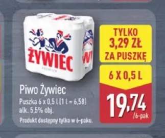 Piwo Żywiec 6-pak