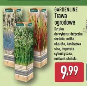 Trawa ogrodowa Gardenline