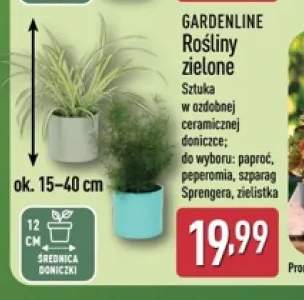 Rośliny zielone Gardenline