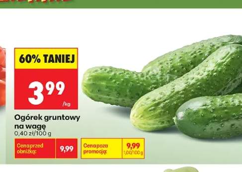 Ogórek gruntowy