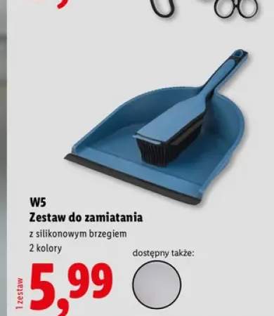 Zestaw do zamiatania W5