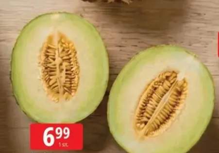 Melon galia