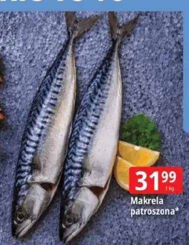 Makrela patroszona