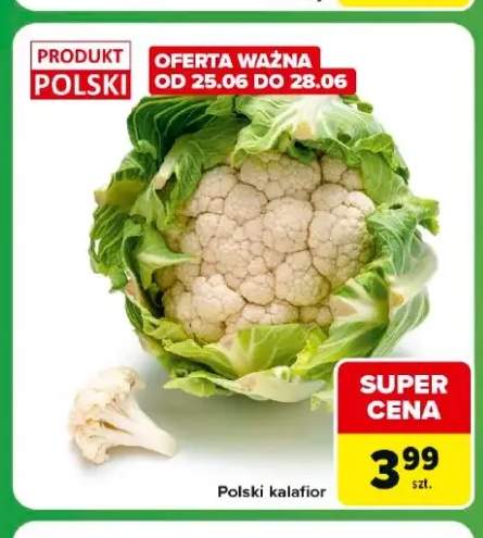 Kalafior polski
