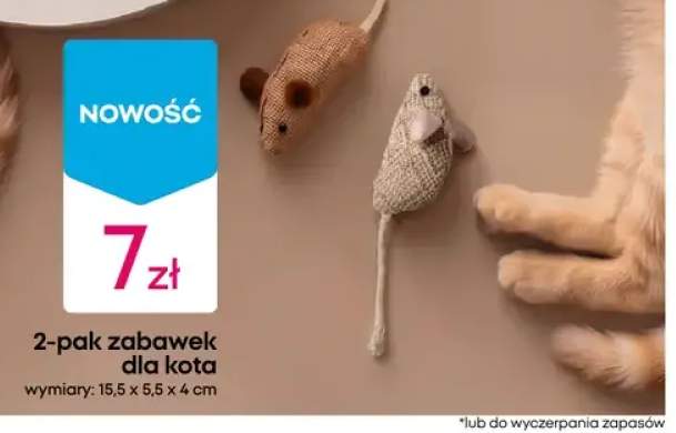 Zabawki dla kota 2-pak