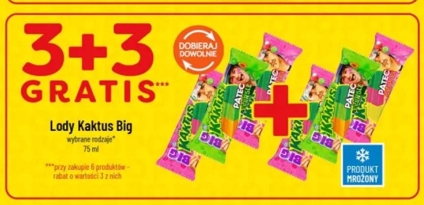 Lody Kaktus Big +1 wariant