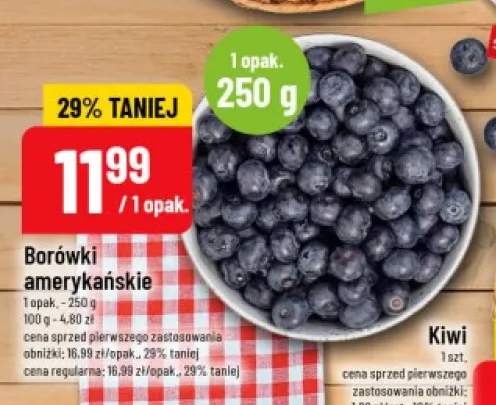Borówki amerykańskie