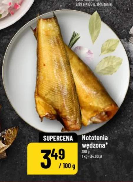 Nototenia wędzona