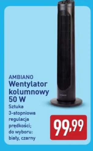 Wentylator kolumnowy Ambiano 50W