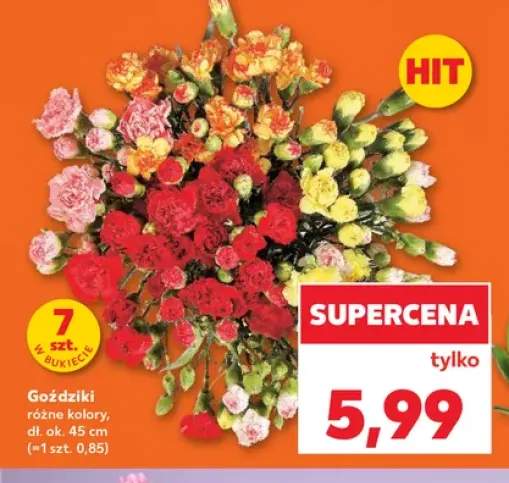 Goździki 7-pak