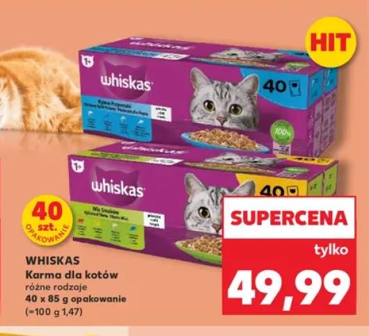 Karma dla kotów Whiskas w galaretce +1 wariant