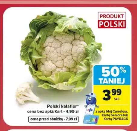Kalafior polski