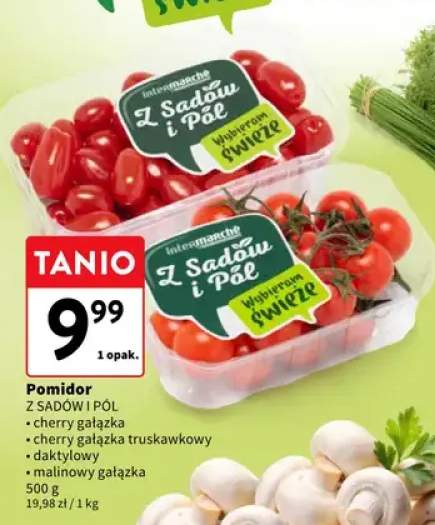 Pomidor cherry gałązka truskawkowy Z Sadów i Pól +3 warianty