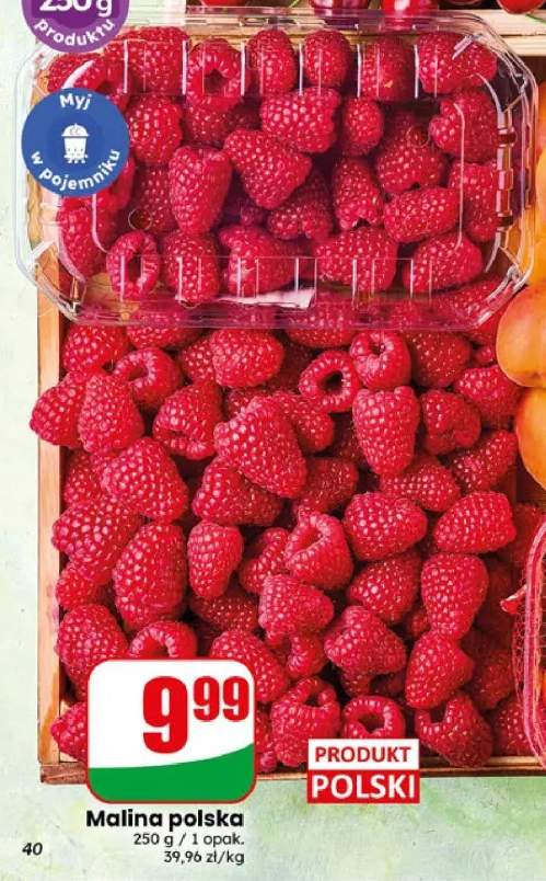 Malina polska
