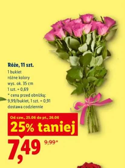 Róże 11-pak