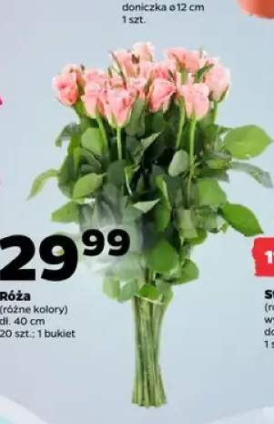 Róża bukiet